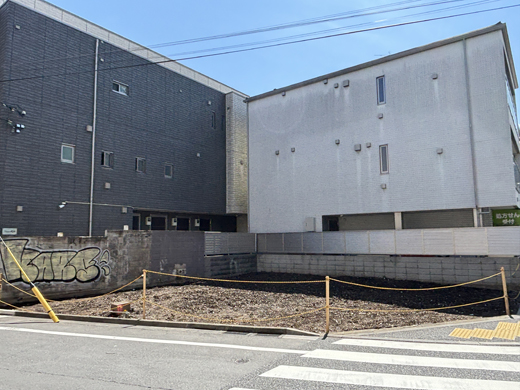 ���������ܡֲ�������